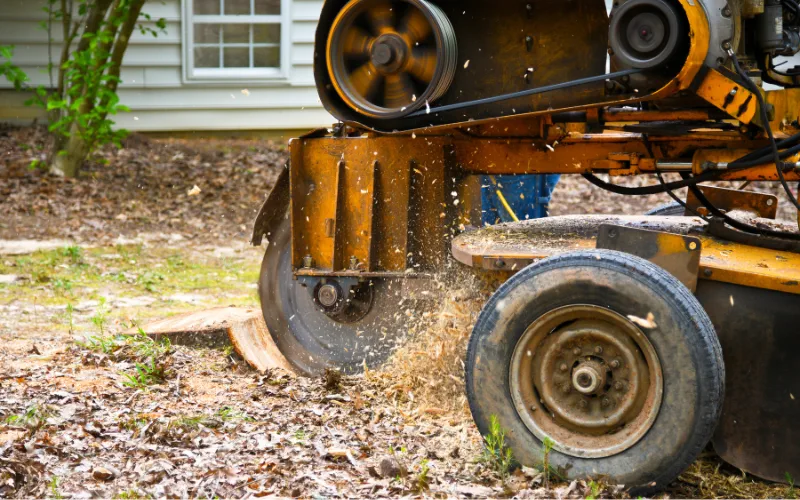 Tractor grinding a tree stump in Idaho Falls, Idaho, showcasing efficient stump removal services.